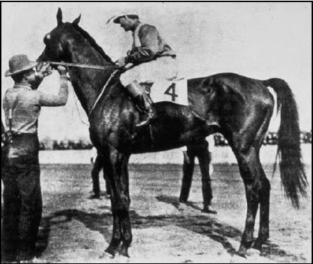 1904 Horse Racing Recap