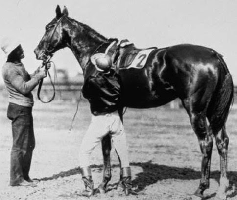 1905 Horse Racing Recap