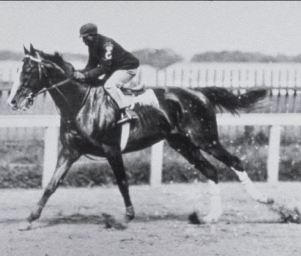 1902 Horse Racing Recap